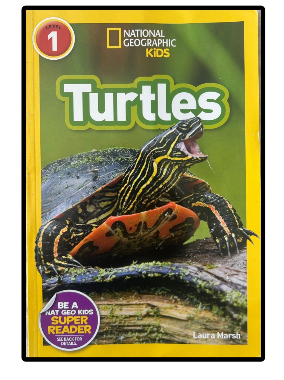 BUNDLE & SAVE 🐢National Geographic Kids Turtles Book